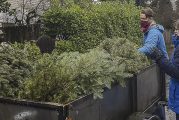 Residents encouraged to reduce holiday waste by recycling natural Christmas trees