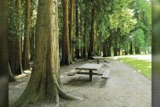 Play area at Hazel Dell Community Park closed January through March for installation of new play equipment