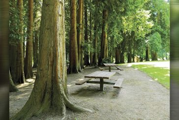 Play area at Hazel Dell Community Park closed January through March for installation of new play equipment