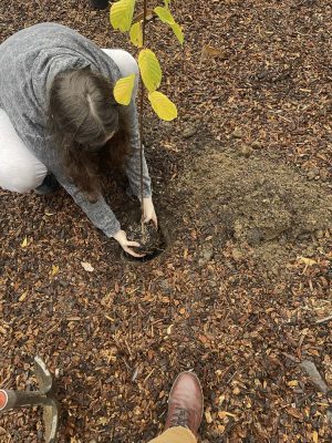 The Washougal High School Green Team has been planting native species near the campus courtyard. Photo courtesy Washougal School District