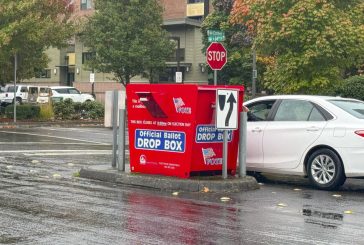 County Elections provides important information for upcoming special election