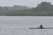 Friends of Vancouver Lake appoints Adrienne Mason as founding executive director