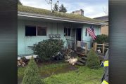 Vancouver Fire responds to fatal structure fire