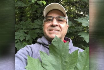 Letter:  County Council resolution ‘strong on rhetoric, weak on results’