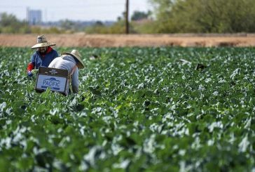Six individuals indicted after allegedly transporting more than 500 workers across border