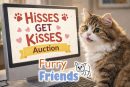 Area cat rescue to host ‘Hisses Get Kisses’ online auction