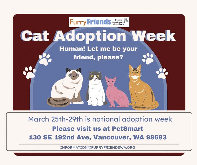 Furry Friends will host a weeklong cat adoption event at East Vancouver PetSmart, offering community members a chance to meet adoptable cats and caring volunteers.