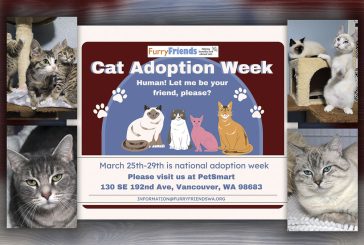 Furry Friends to participate in National Pet Adoption Week  