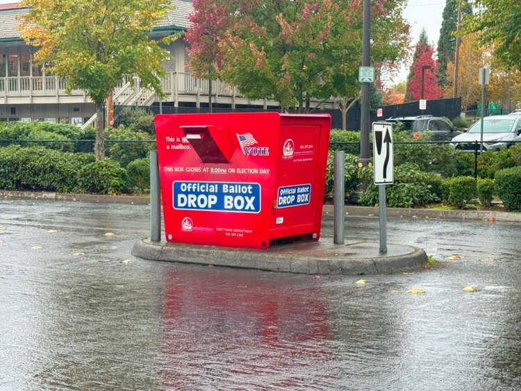 Citizens can file candidacy declarations online at VoteWA.gov from May 4-8 for multiple local and state positions.