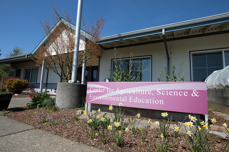 High school students grow annuals, perennials, and native plants for three upcoming community sales in April and May.