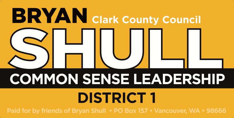 Small business owner Bryan Shull brings renewable energy background and tax-last philosophy to council race.