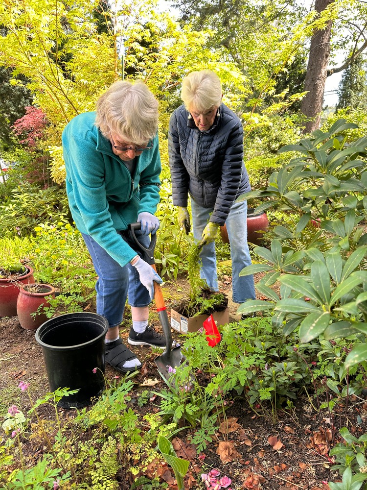 Alma Ladd and Jackie Farley gather local plants.