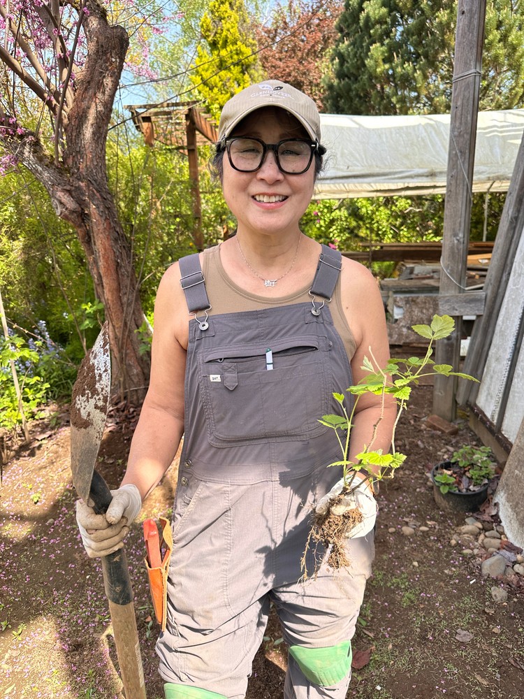 Janine Bernard, has been volunteering with the plant fair preparation for several years.