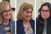 49th Legislative District Democrats share their reasons for backing state income tax at Town Hall