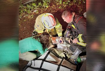 Late-night house fire prompts pet rescue effort