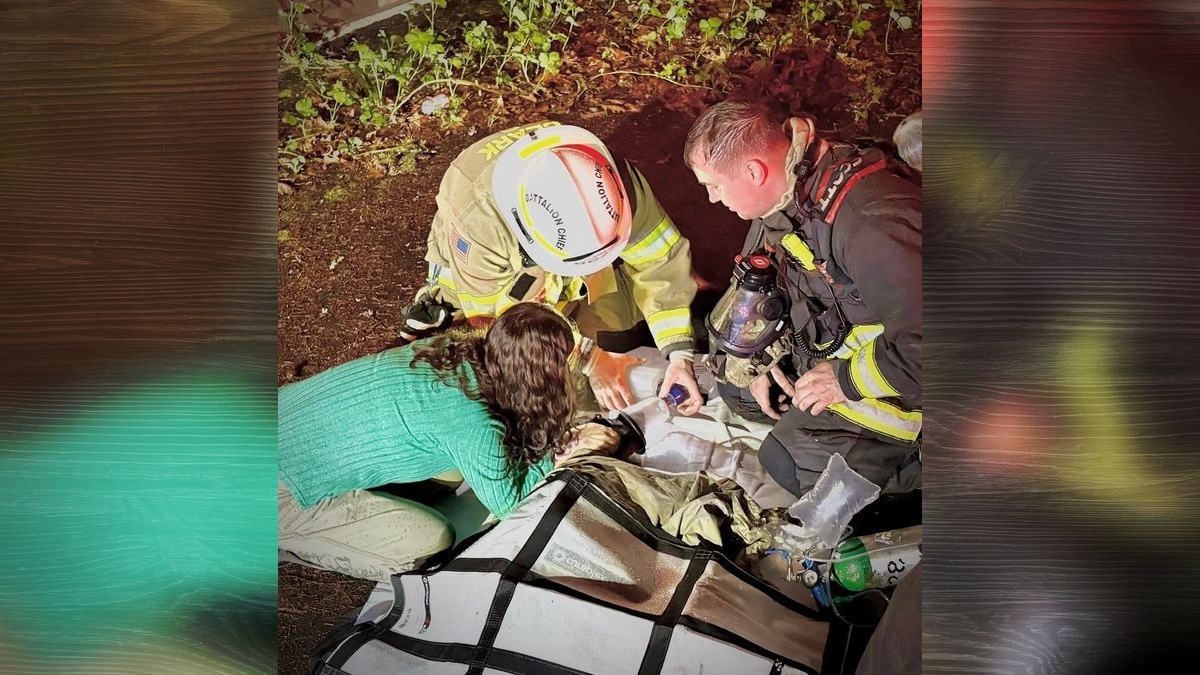 Late-night house fire prompts pet rescue effort Firefighters rescued four pets from burning Vancouver home but three animals died despite lifesaving efforts.