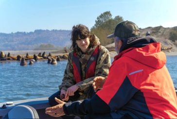 Marie Gluesenkamp Perez seeks federal assistance in combating sea lion predation of salmon & steelhead fishing stock