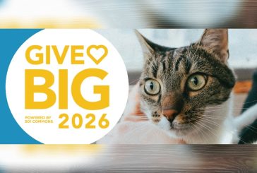 GiveBig is coming Tuesday, May 5