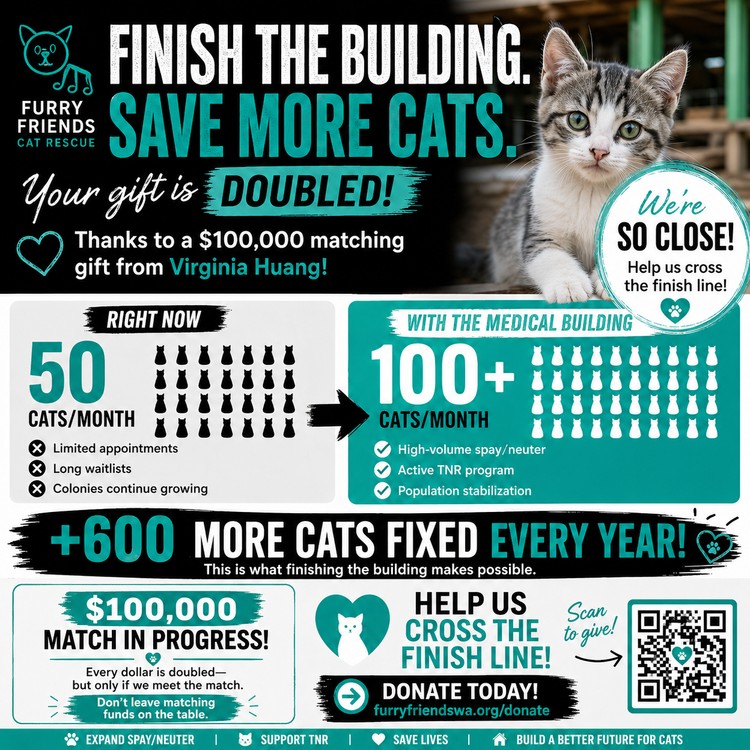 Furry Friends' new medical building will expand spay/neuter services and TNR efforts for Clark County cats.