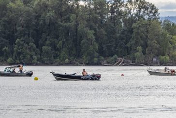 Columbia River to open for additional spring Chinook retention days