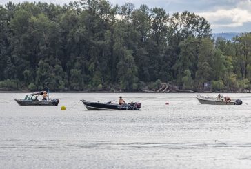 Columbia River to open for additional spring Chinook retention days