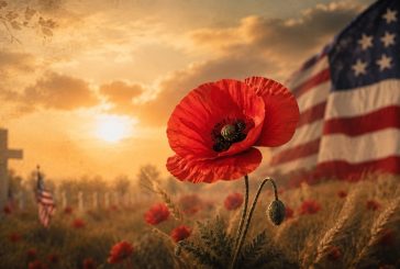 Opinion: Remembering the fallen through the symbol of the Red Poppy