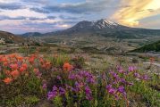Mount St. Helens 46 Years Later: Scenic Stops, History and Recovery Across the Blast Zone