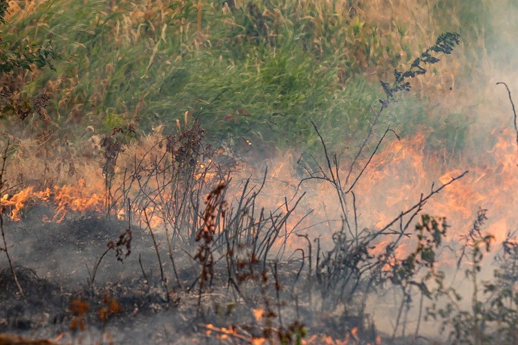 Vancouver Fire Marshal Heidi Scarpelli's ban covers campfires, bonfires, and outdoor fire pits through summer and fall. File photo.