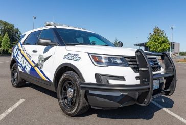 WSP ‘Surviving Summer’ campaign begins in June