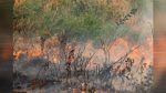 Vancouver Fire Marshal Heidi Scarpelli's ban covers campfires, bonfires, and outdoor fire pits through summer and fall.