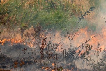City of Vancouver issues temporary ban on all recreational burning