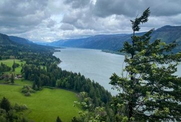 Low sockeye salmon returns lead to fishery changes in the Columbia River