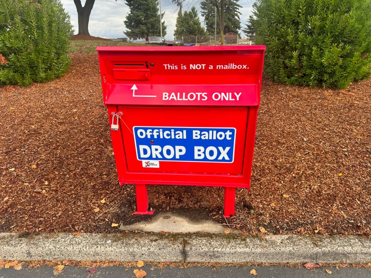 Clark County Elections mailed ballots July 14 for the Aug. 4 Primary and Special Election.
