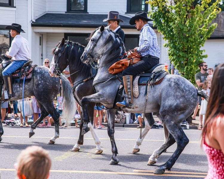 Latin dancing horses strut down Main Street during the Harvest Days Parade in Battle Ground on Saturday, July 18