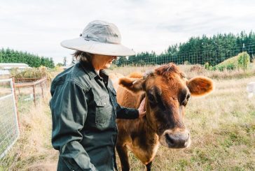 Washington Farmland Trust, supported by Clark County Legacy Lands, protects its first farm in the county