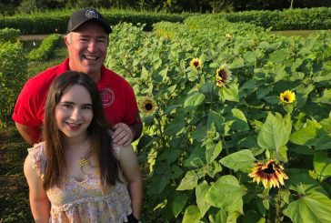 O’Keefe Farms ready to host popular Sunflower Festival