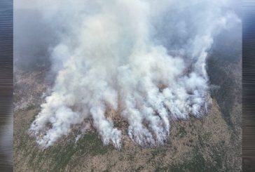 As fires rage in the Pacific Northwest, leaders call all hands on deck