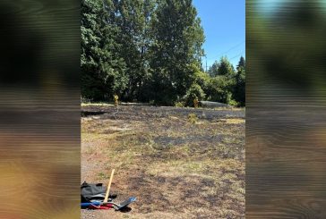 VFD extinguishes brush fire