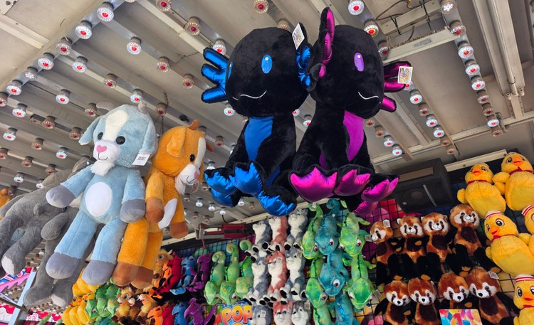 The carnival at the Clark County Fair always has great prizes up for grabs.