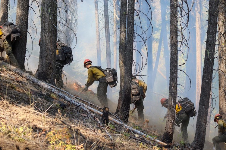 The Dust Busters Plus Fire Crew digs a handline in steep, challenging terrain on Kaiser Canyon Fire in eastern Washington.