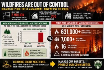 Opinion: Wildfires, forgotten lessons and the price of neglect