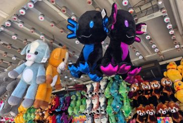 Here’s what’s happening at the Clark County Fair on Saturday, Aug. 15
