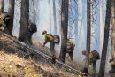 Cost to battle 20 wildfires in WA has topped $200M