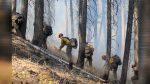 Twenty wildfires have cost Washington $207M in one month, more than two-thirds of what DNR spent all last fiscal year.