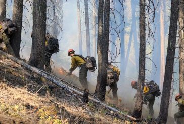 Cost to battle 20 wildfires in WA has topped $200M
