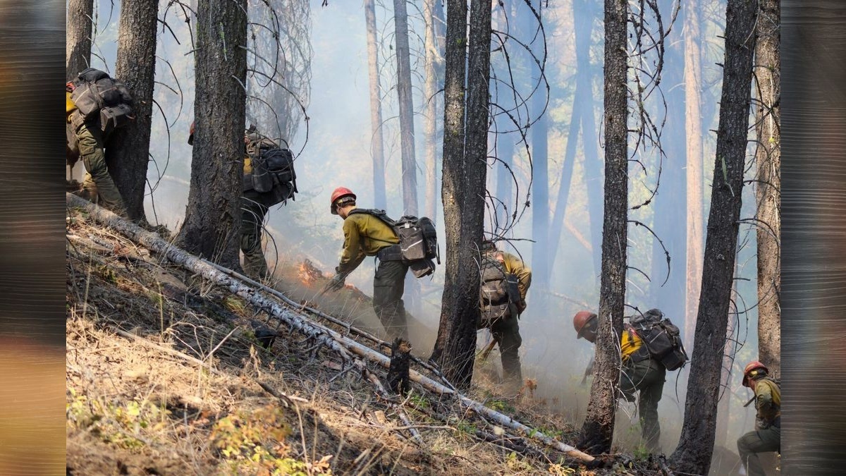 Twenty wildfires have cost Washington $207M in one month, more than two-thirds of what DNR spent all last fiscal year.