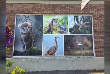 Ridgefield Main Street unveils new Greely Building photo panels